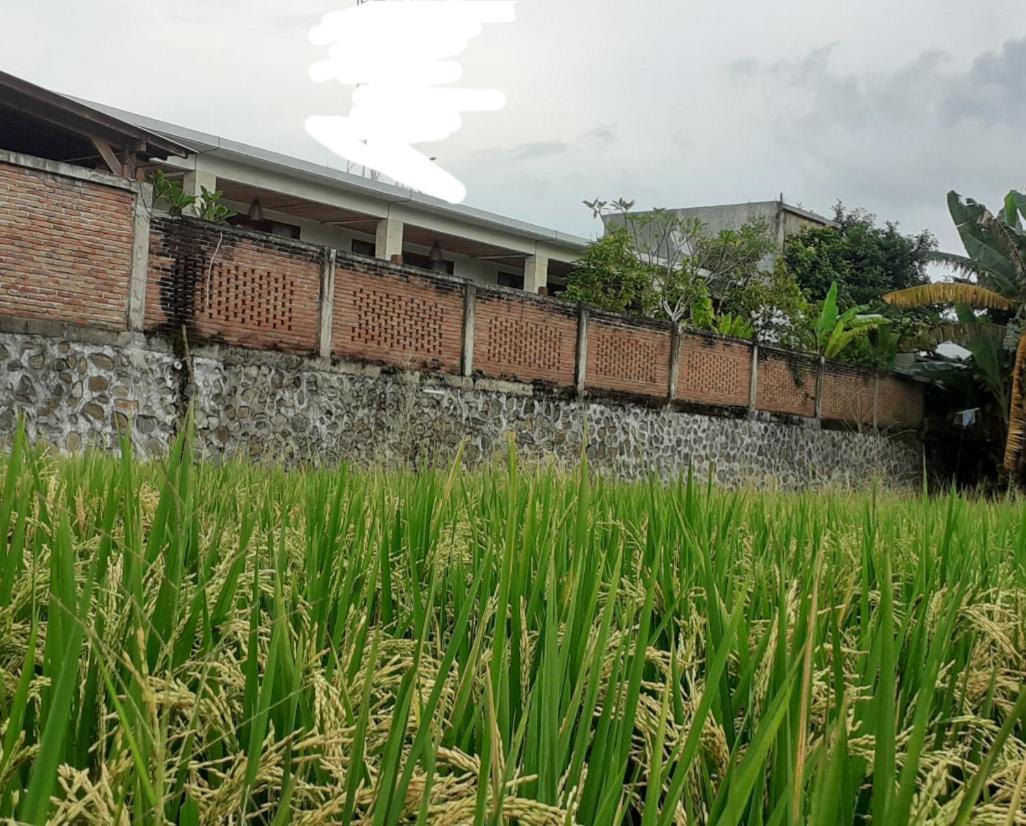 Surya Lombok Accommodation Selong Belanak Exterior photo